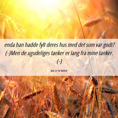 Picture 06 - Job 22:18 NORSK - enda han hadde fylt deres hus med det som var - Bible Verse Picture