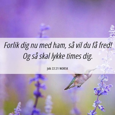 Picture 06 - Job 22:21 NORSK - Forlik dig nu med ham, så vil du få fred! Og - Bible Verse Picture