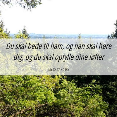Picture 06 - Job 22:27 NORSK - Du skal bede til ham, og han skal høre dig, og - Bible Verse Picture