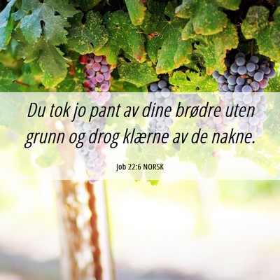 Picture 06 - Job 22:6 NORSK - Du tok jo pant av dine brødre uten grunn og drog - Bible Verse Picture