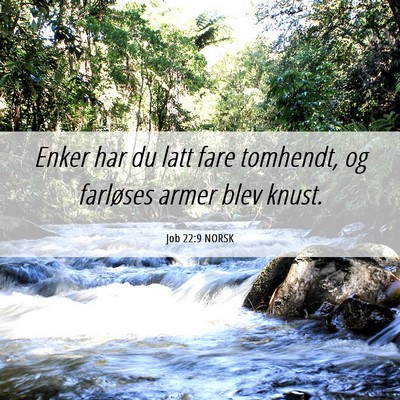 Picture 06 - Job 22:9 NORSK - Enker har du latt fare tomhendt, og farløses - Bible Verse Picture