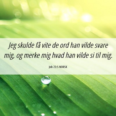 Picture 06 - Job 23:5 NORSK - Jeg skulde få vite de ord han vilde svare mig, - Bible Verse Picture