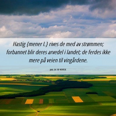 Picture 06 - Job 24:18 NORSK - Hastig {mener I.} rives de med av strømmen; - Bible Verse Picture