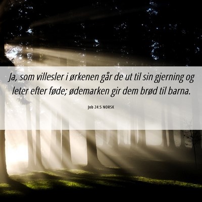 Picture 06 - Job 24:5 NORSK - Ja, som villesler i ørkenen går de ut til sin - Bible Verse Picture