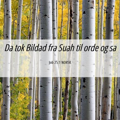 Picture 06 - Job 25:1 NORSK - Da tok Bildad fra Suah til orde og - Bible Verse Picture