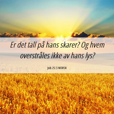Picture 06 - Job 25:3 NORSK - Er det tall på hans skarer? Og hvem overstråles - Bible Verse Picture