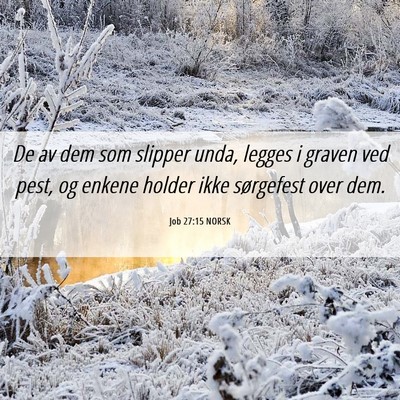 Picture 06 - Job 27:15 NORSK - De av dem som slipper unda, legges i graven ved - Bible Verse Picture