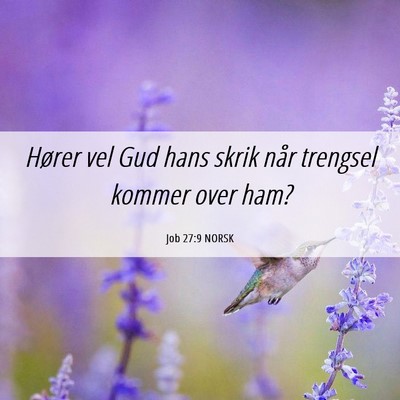 Picture 06 - Job 27:9 NORSK - Hører vel Gud hans skrik når trengsel kommer - Bible Verse Picture