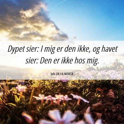 Picture 06 - Job 28:14 NORSK - Dypet sier: I mig er den ikke, og havet sier: Den - Bible Verse Picture