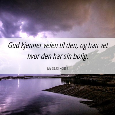 Picture 06 - Job 28:23 NORSK - Gud kjenner veien til den, og han vet hvor den - Bible Verse Picture