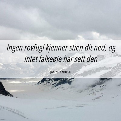 Picture 06 - Job 28:7 NORSK - Ingen rovfugl kjenner stien dit ned, og intet - Bible Verse Picture