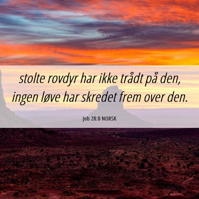 Picture 06 - Job 28:8 NORSK - stolte rovdyr har ikke trådt på den, ingen - Bible Verse Picture