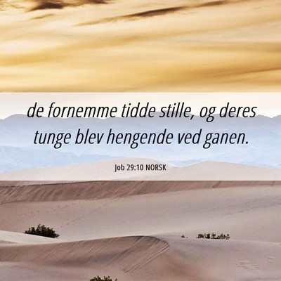 Picture 06 - Job 29:10 NORSK - de fornemme tidde stille, og deres tunge blev - Bible Verse Picture