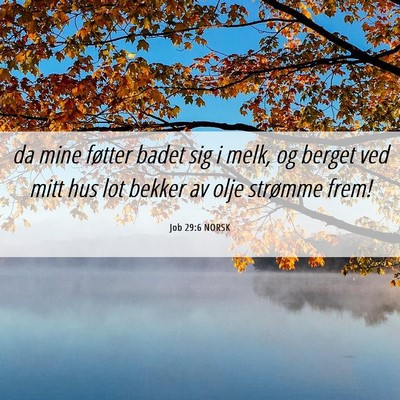 Picture 06 - Job 29:6 NORSK - da mine føtter badet sig i melk, og berget ved - Bible Verse Picture