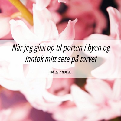 Picture 06 - Job 29:7 NORSK - Når jeg gikk op til porten i byen og inntok mitt - Bible Verse Picture