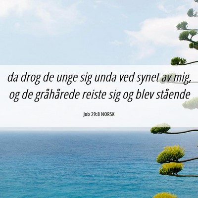 Picture 06 - Job 29:8 NORSK - da drog de unge sig unda ved synet av mig, og de - Bible Verse Picture