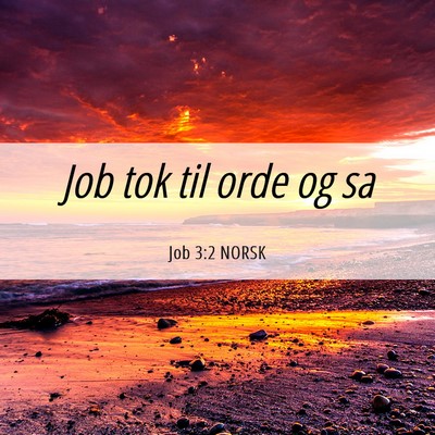 Picture 06 - Job 3:2 NORSK - Job tok til orde og - Bible Verse Picture