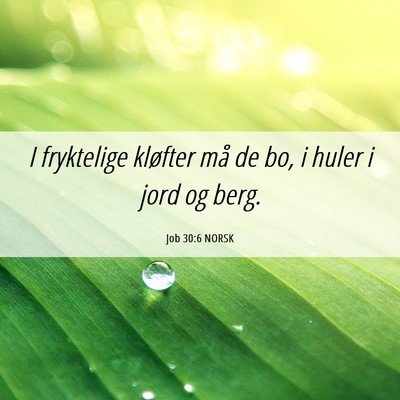 Picture 06 - Job 30:6 NORSK - I fryktelige kløfter må de bo, i huler i jord - Bible Verse Picture