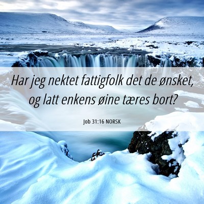 Picture 06 - Job 31:16 NORSK - Har jeg nektet fattigfolk det de ønsket, og latt - Bible Verse Picture