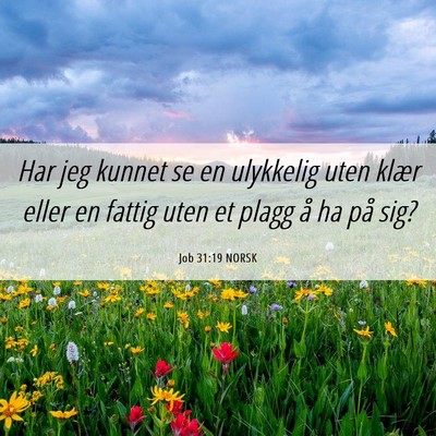 Picture 06 - Job 31:19 NORSK - Har jeg kunnet se en ulykkelig uten klær eller - Bible Verse Picture