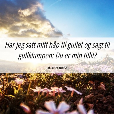 Picture 06 - Job 31:24 NORSK - Har jeg satt mitt håp til gullet og sagt til - Bible Verse Picture