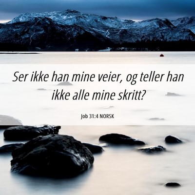 Picture 06 - Job 31:4 NORSK - Ser ikke han mine veier, og teller han ikke alle - Bible Verse Picture