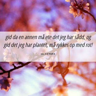 Picture 06 - Job 31:8 NORSK - gid da en annen må ete det jeg har sådd, og gid - Bible Verse Picture