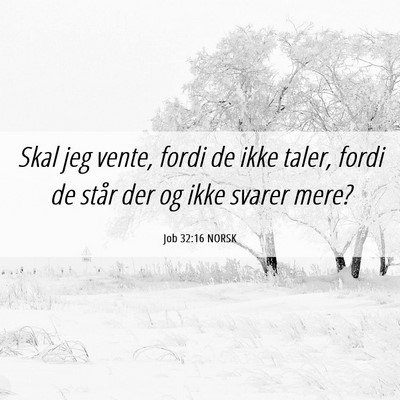 Picture 06 - Job 32:16 NORSK - Skal jeg vente, fordi de ikke taler, fordi de - Bible Verse Picture
