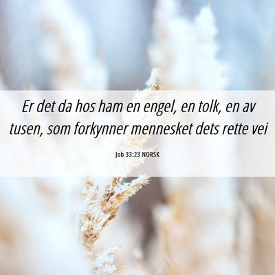 Picture 06 - Job 33:23 NORSK - Er det da hos ham en engel, en tolk, en av tusen, - Bible Verse Picture