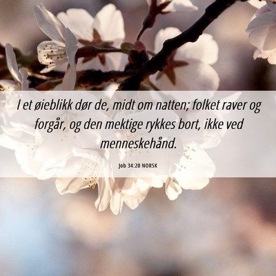 Picture 06 - Job 34:20 NORSK - I et øieblikk dør de, midt om natten; folket - Bible Verse Picture