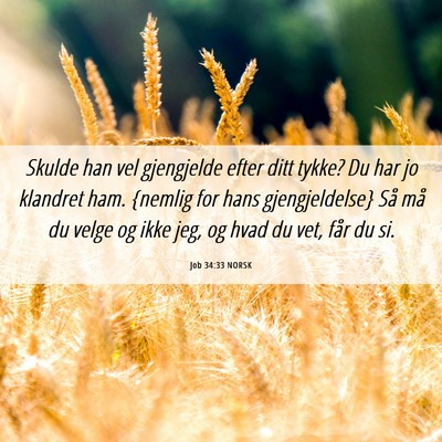 Picture 06 - Job 34:33 NORSK - Skulde han vel gjengjelde efter ditt tykke? Du - Bible Verse Picture