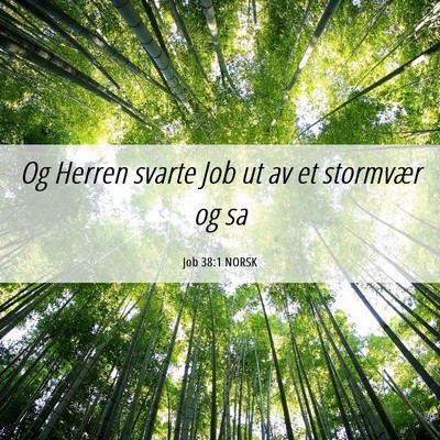 Picture 06 - Job 38:1 NORSK - Og Herren svarte Job ut av et stormvær og - Bible Verse Picture