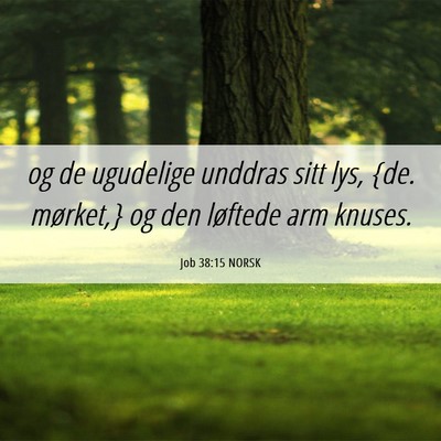 Picture 06 - Job 38:15 NORSK - og de ugudelige unddras sitt lys, {de. mørket,} - Bible Verse Picture