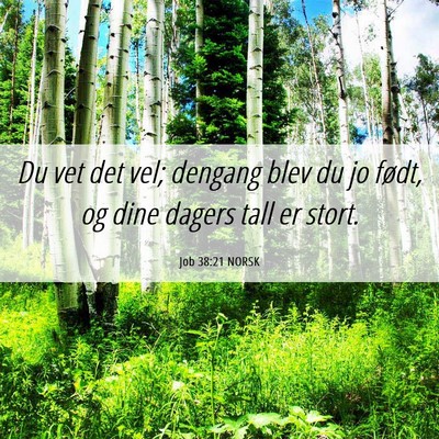 Picture 06 - Job 38:21 NORSK - Du vet det vel; dengang blev du jo født, og dine - Bible Verse Picture