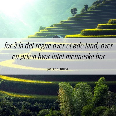 Picture 06 - Job 38:26 NORSK - for å la det regne over et øde land, over en - Bible Verse Picture