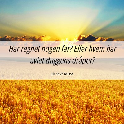 Picture 06 - Job 38:28 NORSK - Har regnet nogen far? Eller hvem har avlet - Bible Verse Picture