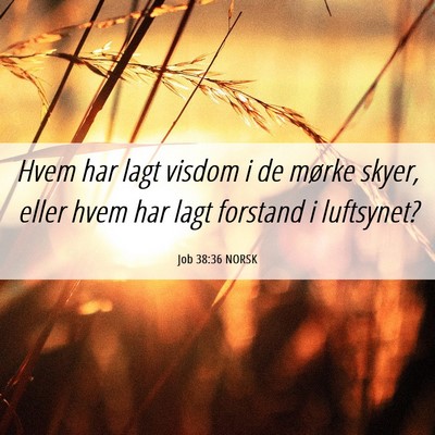 Picture 06 - Job 38:36 NORSK - Hvem har lagt visdom i de mørke skyer, eller - Bible Verse Picture