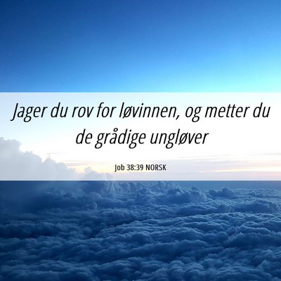 Picture 06 - Job 38:39 NORSK - Jager du rov for løvinnen, og metter du de - Bible Verse Picture