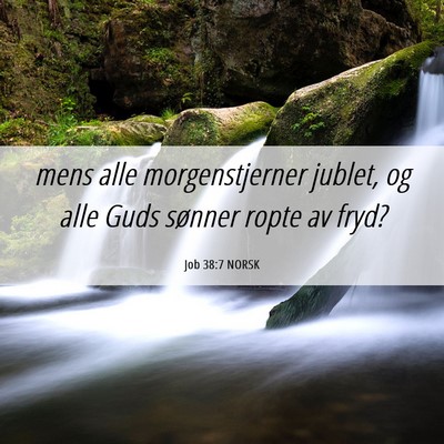 Picture 06 - Job 38:7 NORSK - mens alle morgenstjerner jublet, og alle Guds - Bible Verse Picture