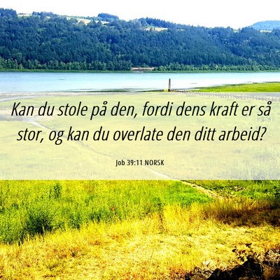 Picture 06 - Job 39:11 NORSK - Kan du stole på den, fordi dens kraft er så - Bible Verse Picture
