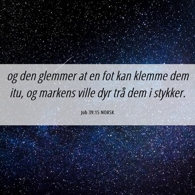 Picture 06 - Job 39:15 NORSK - og den glemmer at en fot kan klemme dem itu, og - Bible Verse Picture