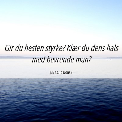 Picture 06 - Job 39:19 NORSK - Gir du hesten styrke? Klær du dens hals med - Bible Verse Picture