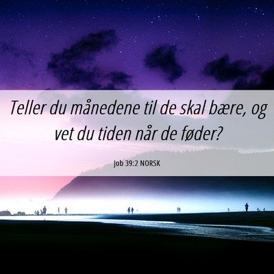 Picture 06 - Job 39:2 NORSK - Teller du månedene til de skal bære, og vet du - Bible Verse Picture
