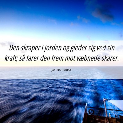 Picture 06 - Job 39:21 NORSK - Den skraper i jorden og gleder sig ved sin kraft; - Bible Verse Picture