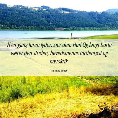 Picture 06 - Job 39:25 NORSK - Hver gang luren lyder, sier den: Hui! Og langt - Bible Verse Picture