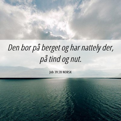 Picture 06 - Job 39:28 NORSK - Den bor på berget og har nattely der, på tind - Bible Verse Picture