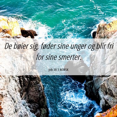 Picture 06 - Job 39:3 NORSK - De bøier sig, føder sine unger og blir fri for - Bible Verse Picture