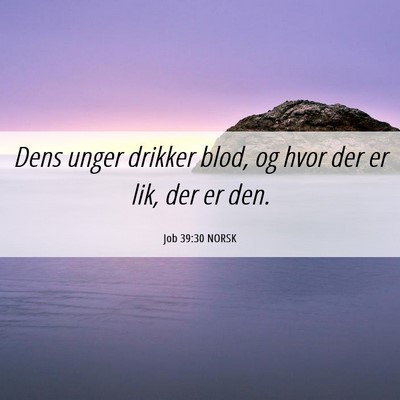 Picture 06 - Job 39:30 NORSK - Dens unger drikker blod, og hvor der er lik, der - Bible Verse Picture