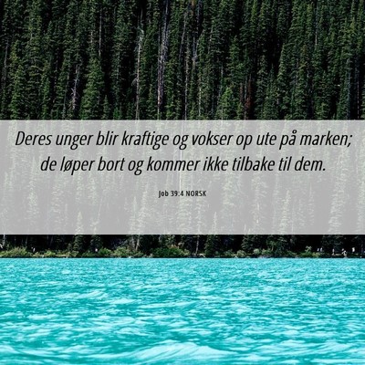 Picture 06 - Job 39:4 NORSK - Deres unger blir kraftige og vokser op ute på - Bible Verse Picture