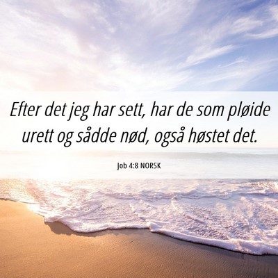 Picture 06 - Job 4:8 NORSK - Efter det jeg har sett, har de som pløide urett - Bible Verse Picture